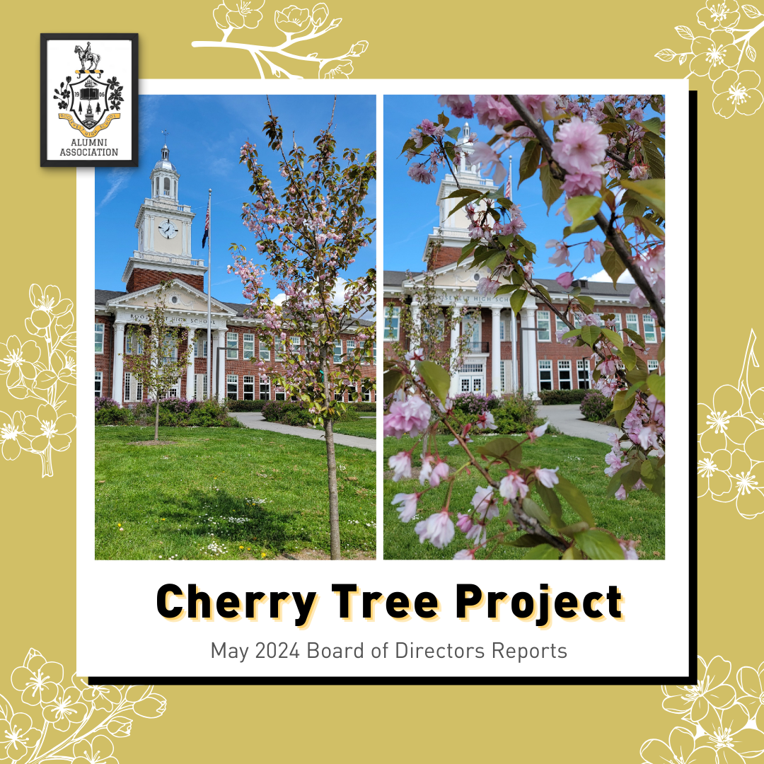 Cherry Blossom Tree Project